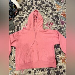 Aritzia TNA Hoodie Sweatshirt